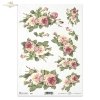 rose, roses, flower, flowers, bouquet, bouquets, R423